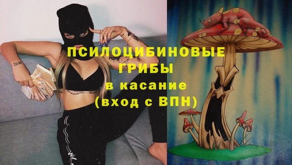 МДПВ Гусь-Хрустальный